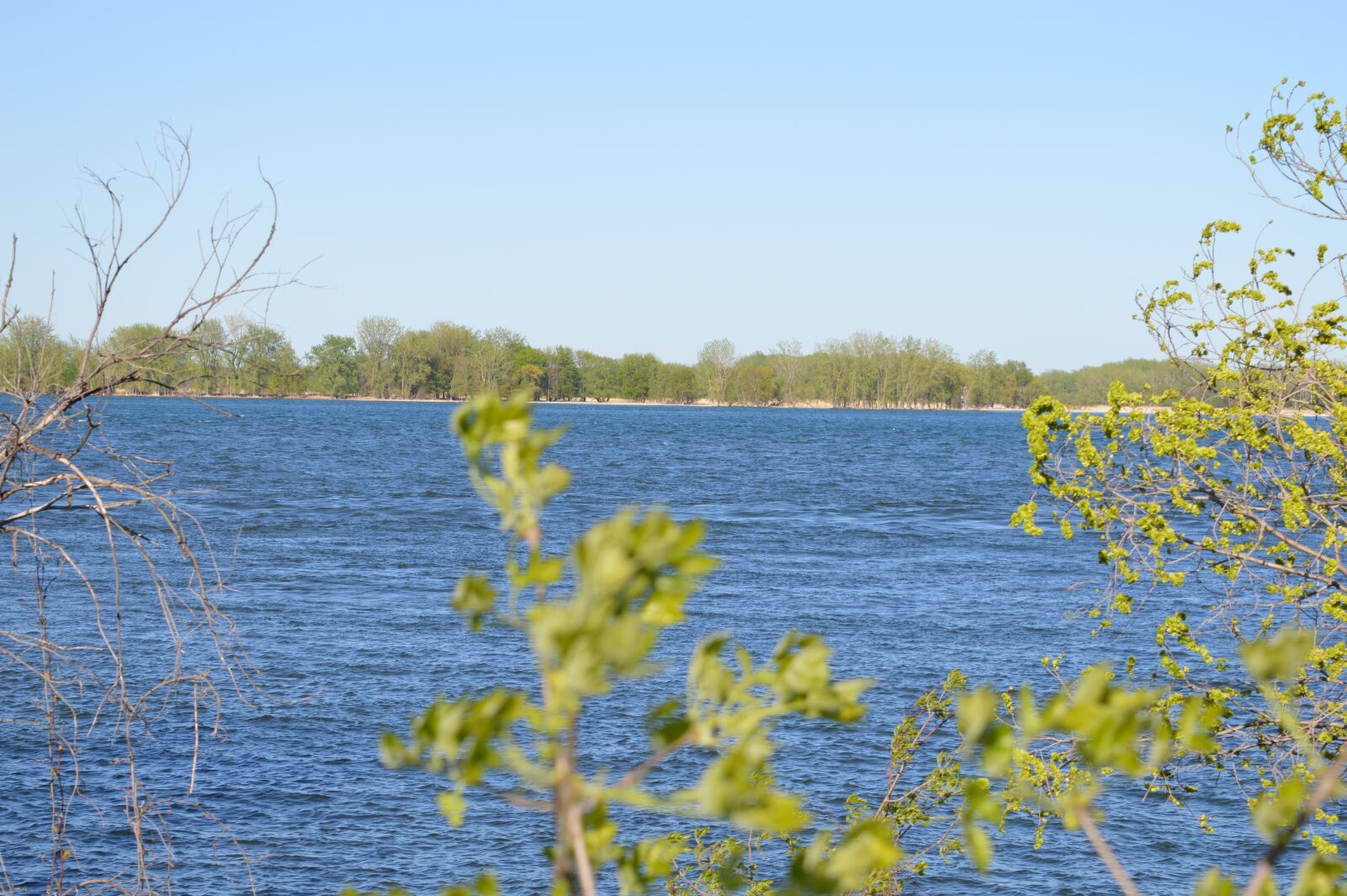 Nikon D3200 sample photo. Nature, ambience, atmospheric photography