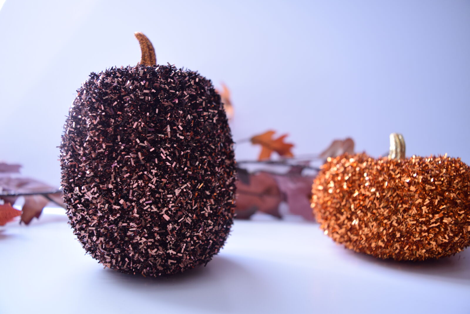 Nikon D3300 sample photo. Fall, glitter, leaves, pumpkins photography