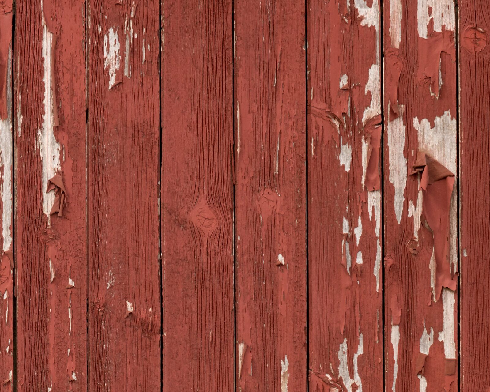 Canon EOS 750D (EOS Rebel T6i / EOS Kiss X8i) sample photo. Barn wood, texture, peeling photography
