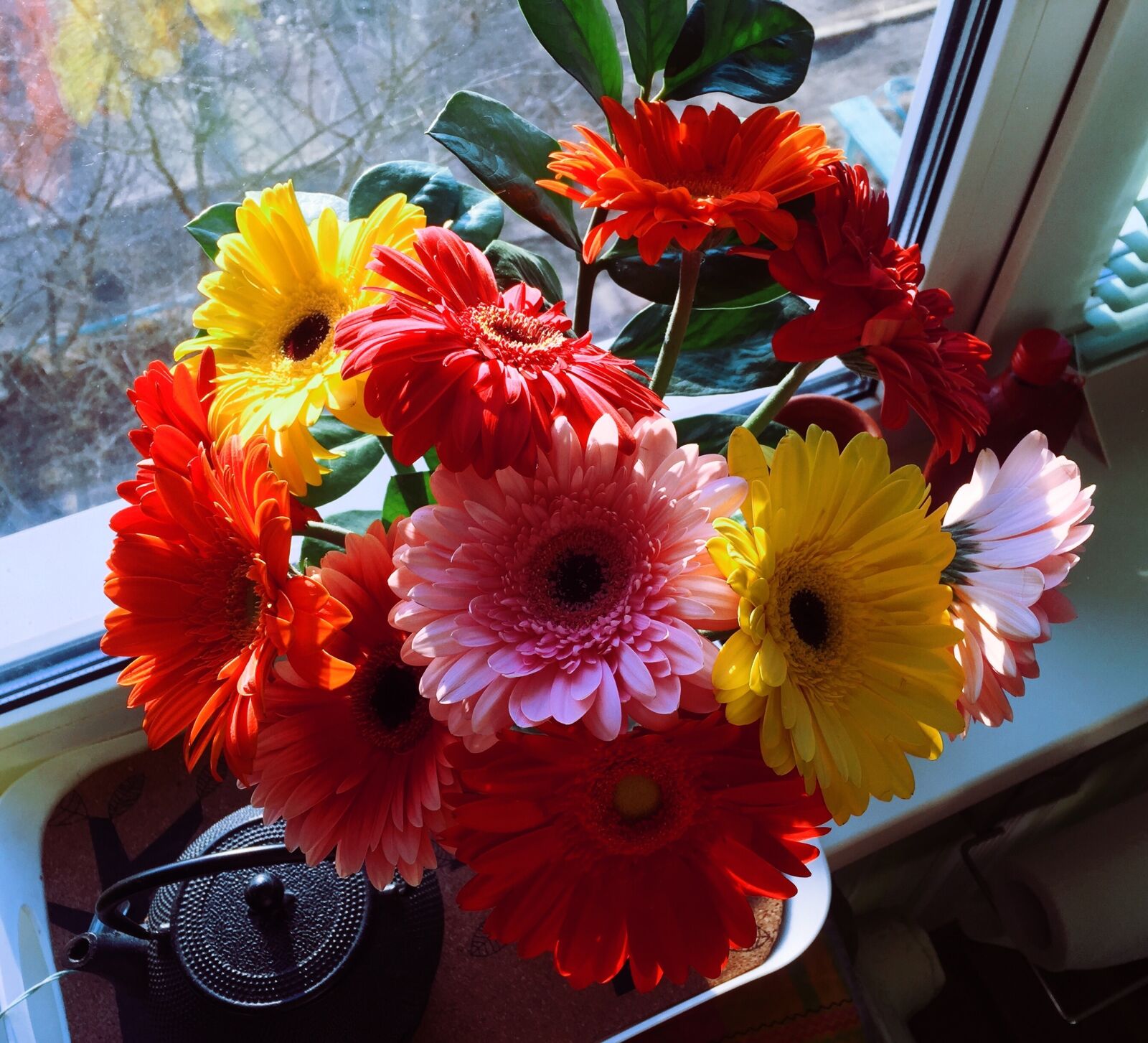 Apple iPhone 6 sample photo. Flowers, bouquet, spring photography