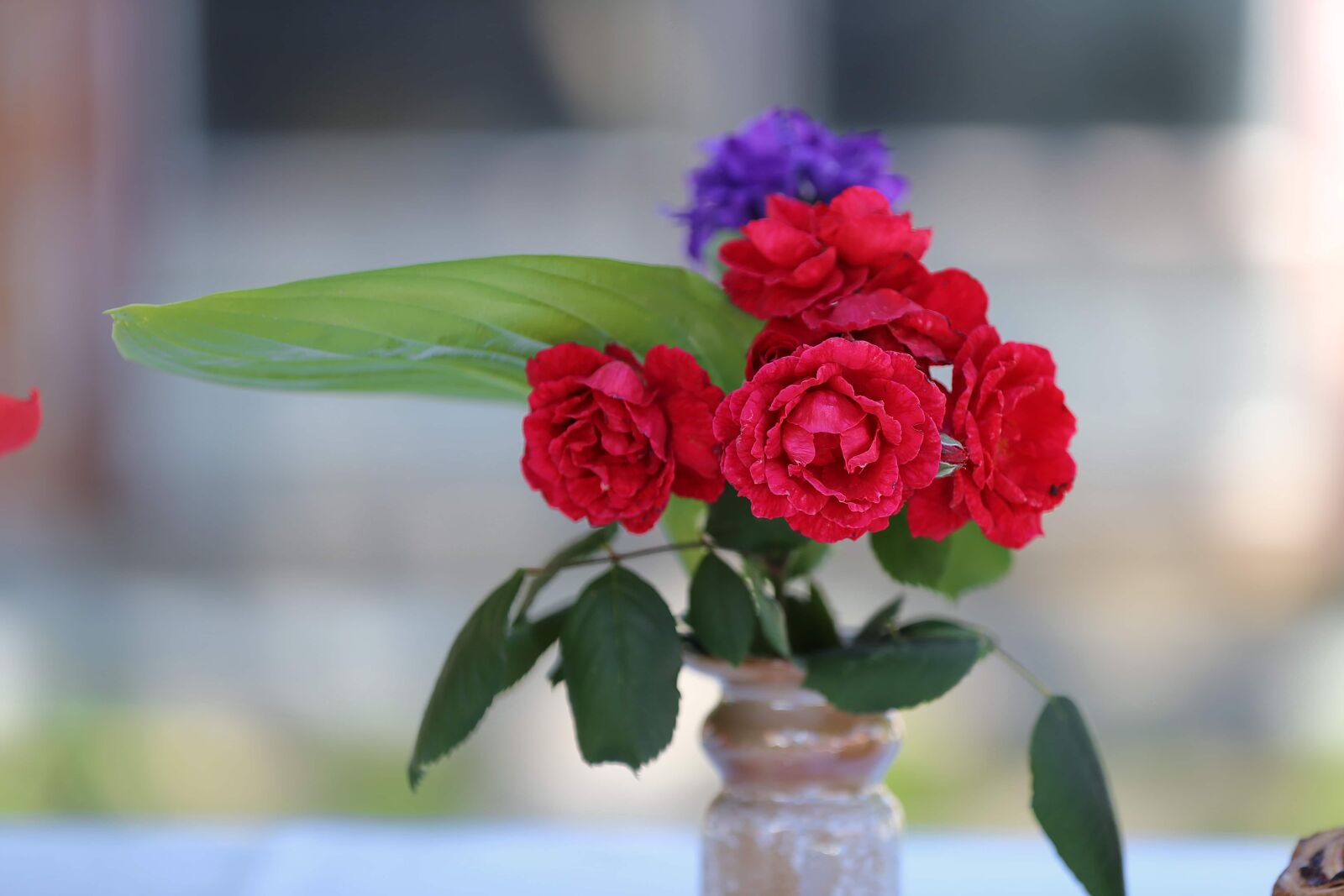 Canon EF 70-200mm F2.8L IS II USM sample photo. Vase, petal, roses, flowers photography
