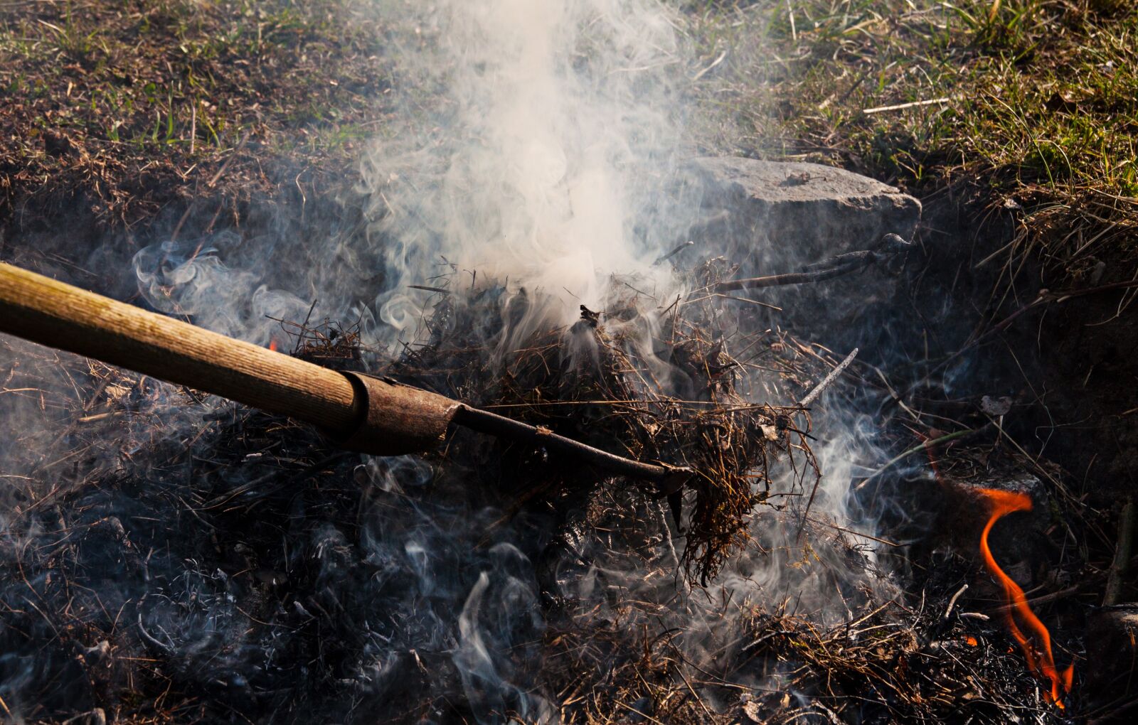 Canon EOS 500D (EOS Rebel T1i / EOS Kiss X3) sample photo. Leaves, pitchfork, fire photography
