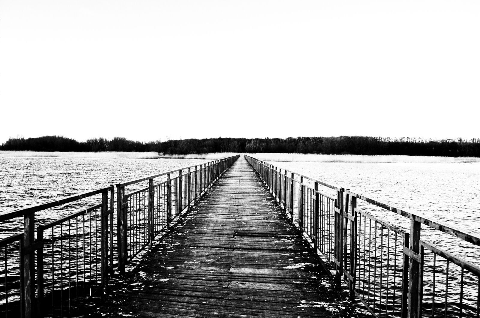 Nikon D40 sample photo. Bridge, water, architecture photography