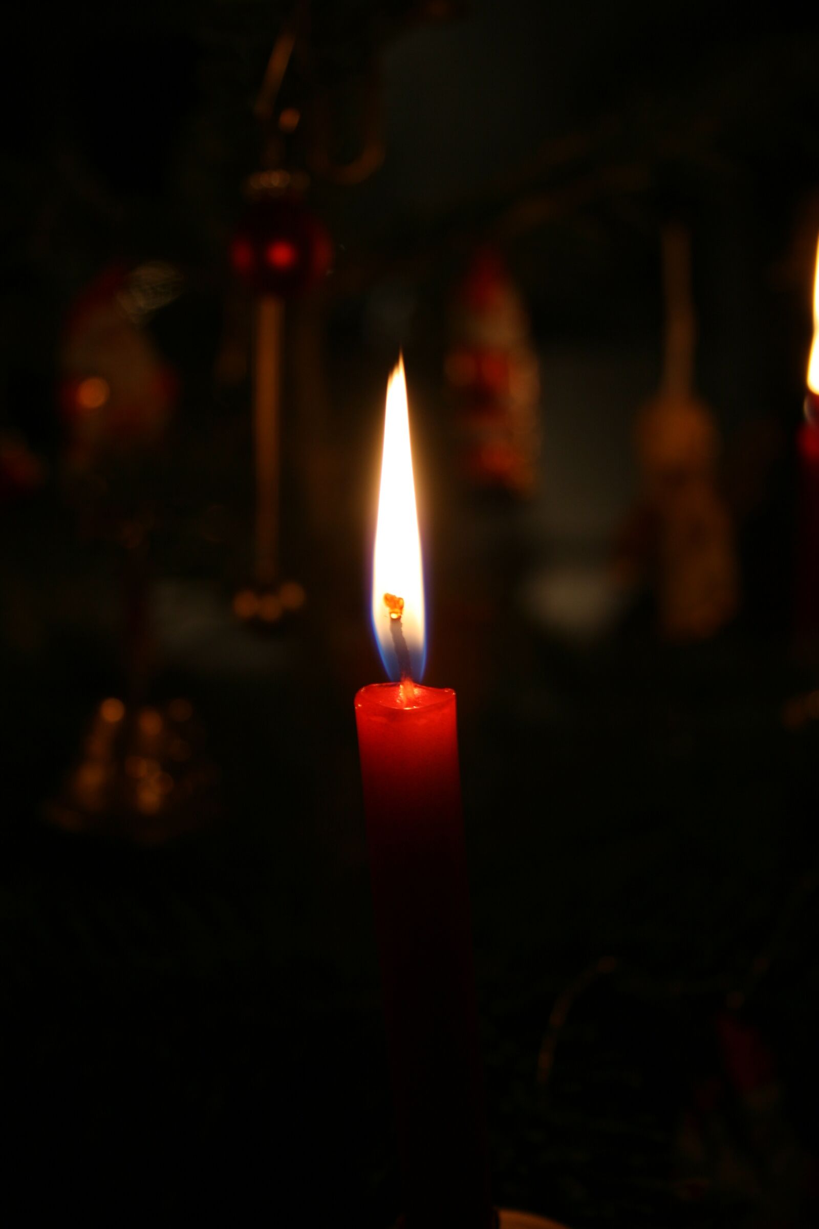 Canon EOS 400D (EOS Digital Rebel XTi / EOS Kiss Digital X) sample photo. Candle, christmas, hope photography