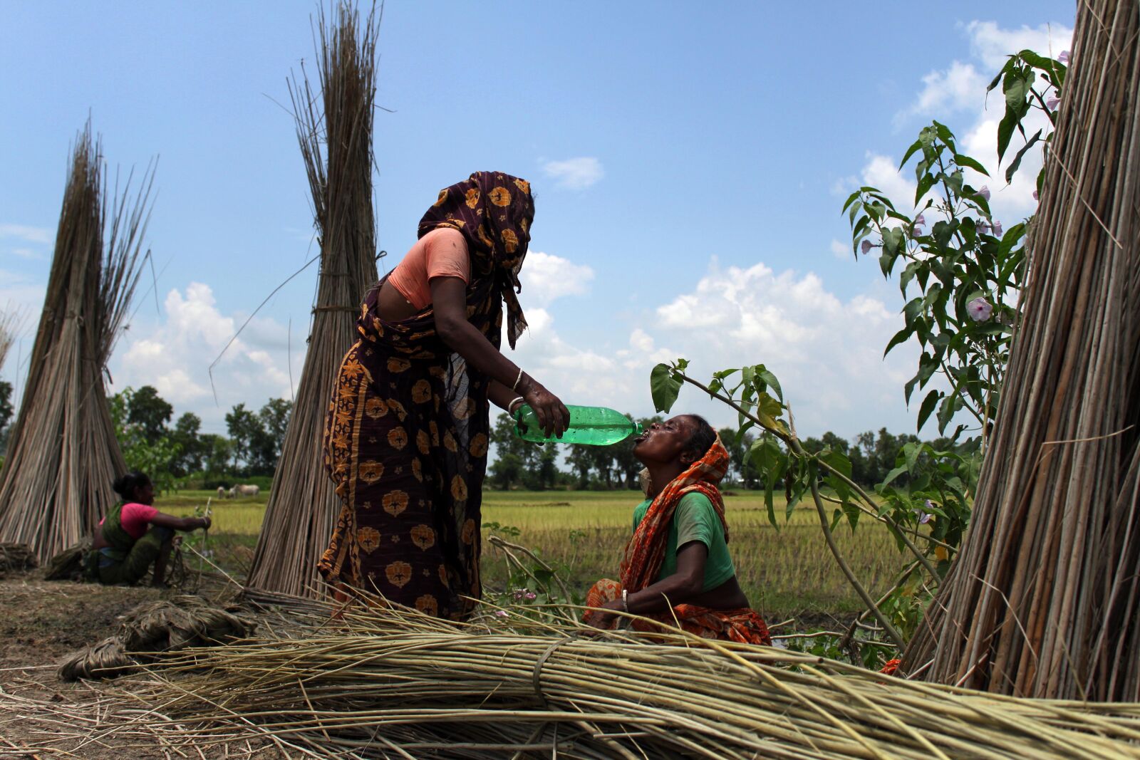 Canon EOS 500D (EOS Rebel T1i / EOS Kiss X3) sample photo. Bangladesh, canal, fisherman, nature photography