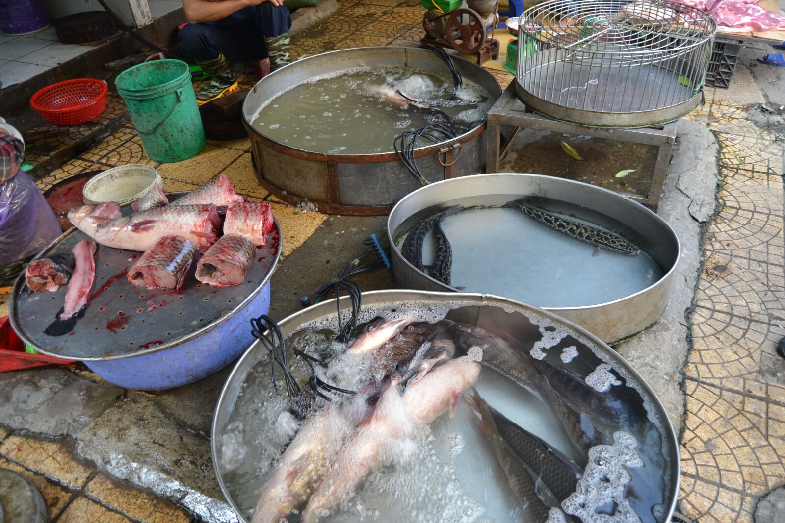 Nikon D3100 sample photo. Vietnam, hanoi, fish photography