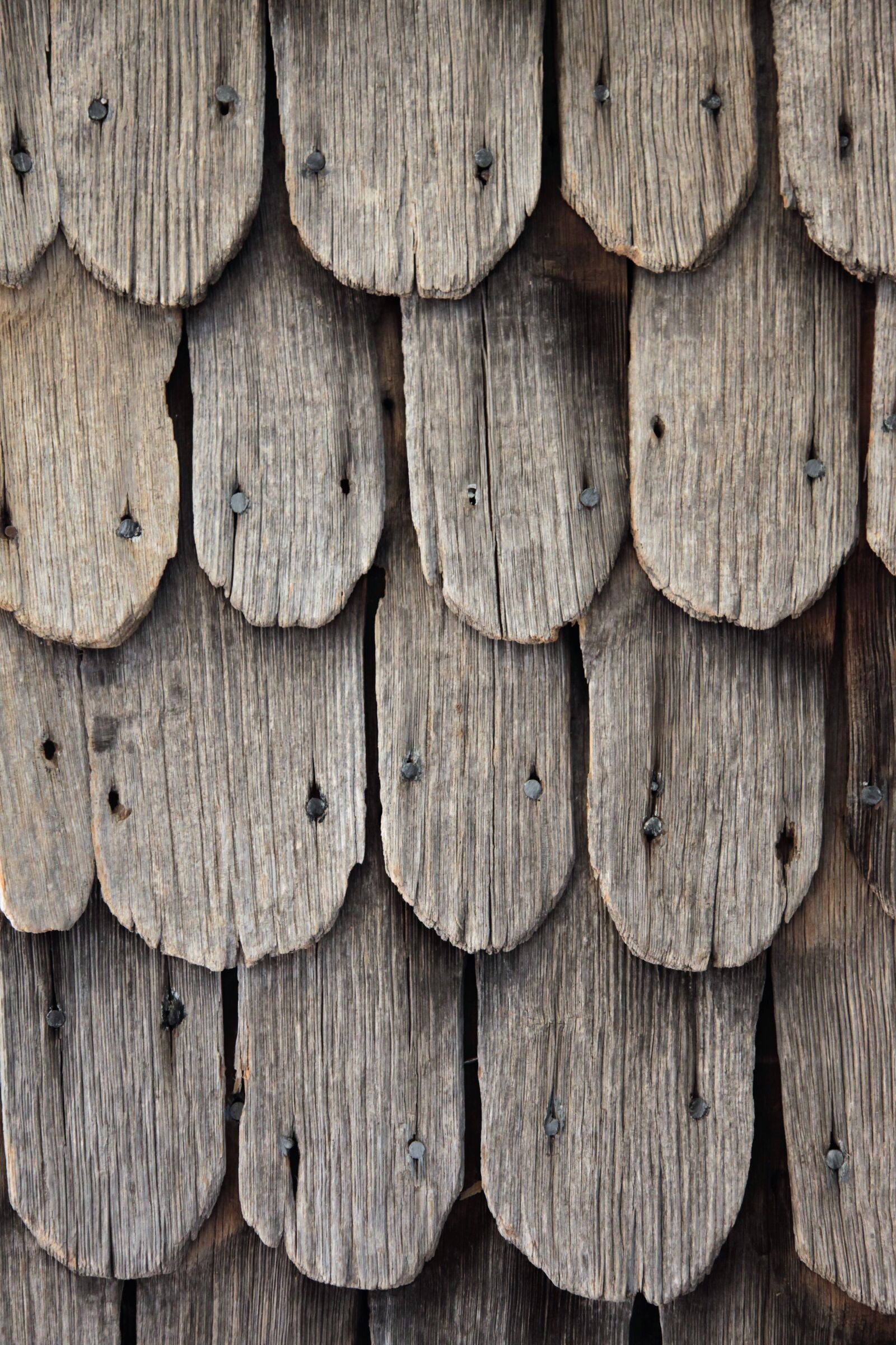 Canon EOS 5D Mark II sample photo. Wood shingles, shingle, old photography