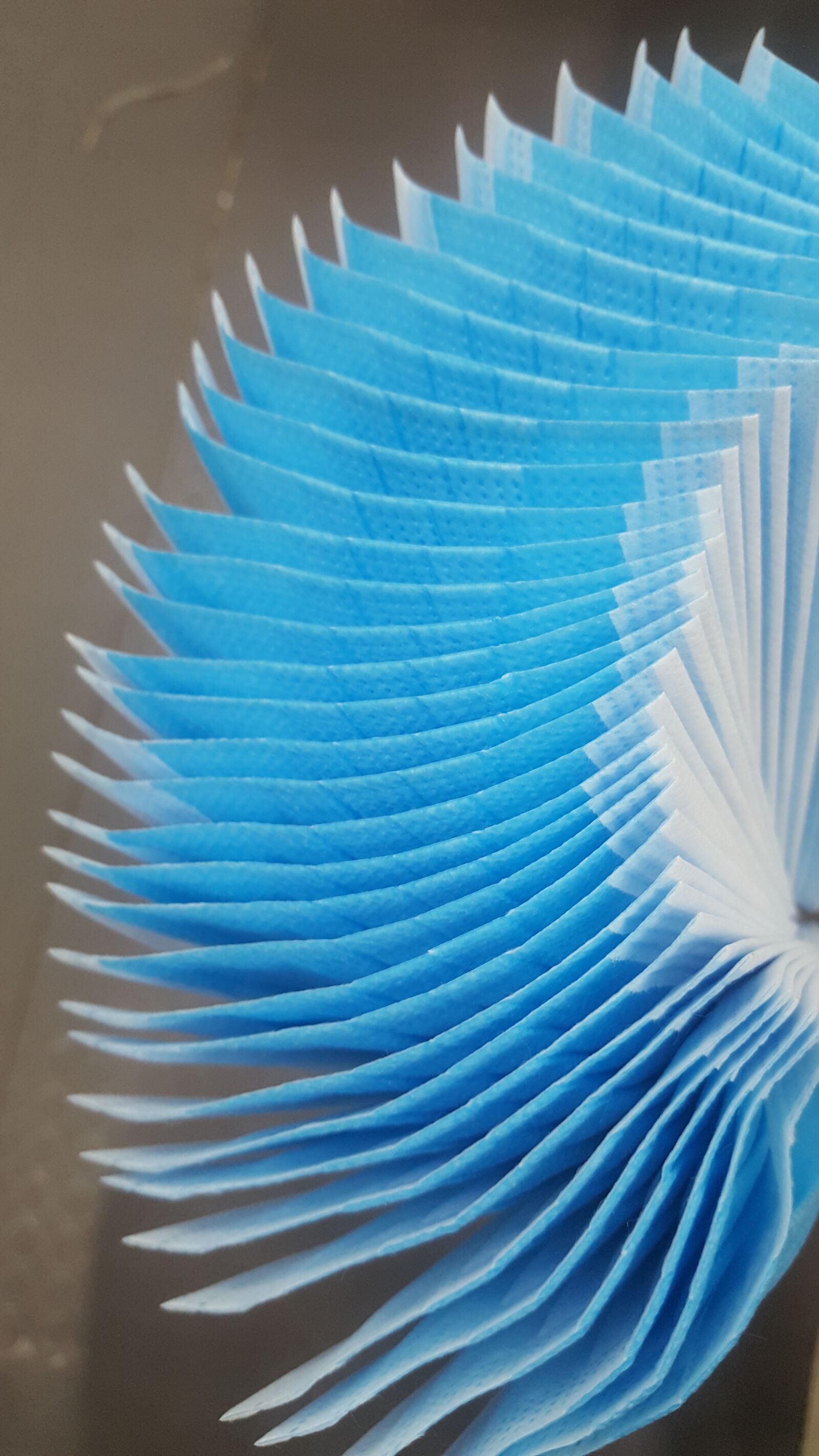 Samsung Galaxy S6 sample photo. Beautiful paper, naturally, quickly photography