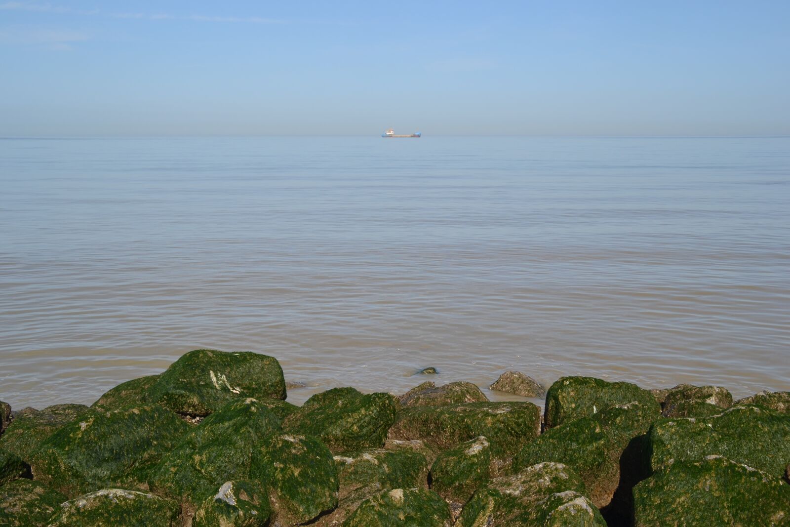 Nikon D3100 sample photo. Sea, rock, alga photography