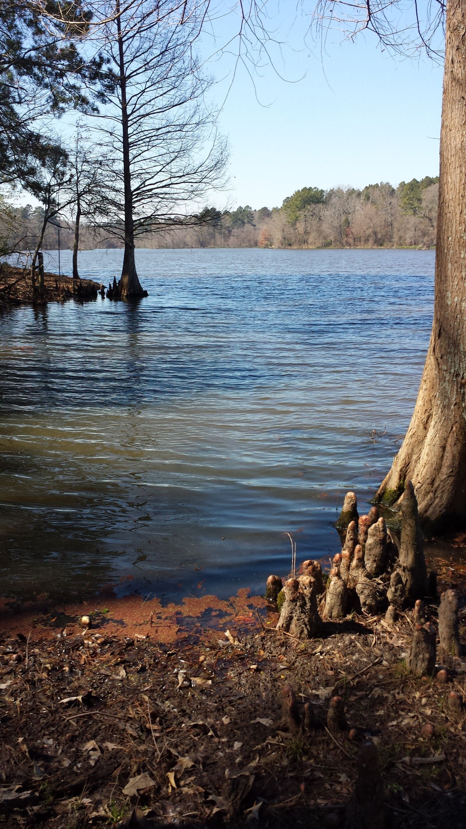 Samsung Galaxy S4 sample photo. Lake, sky, trees photography