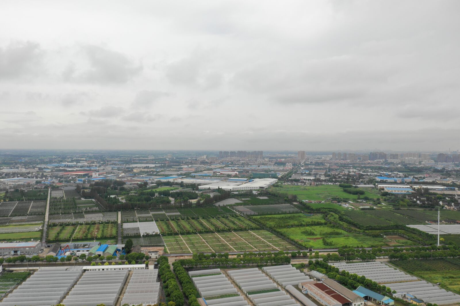 Hasselblad L1D-20c sample photo. Shanghai, jiading, huating photography