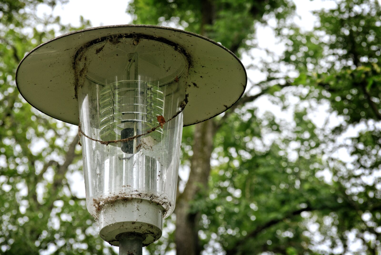 55.0-200.0mm f/4.0-f/5.6 sample photo. Lantern, lighting, old photography