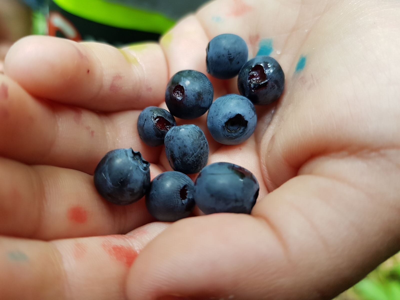 Samsung Galaxy S8+ sample photo. Blueberries, hand, dirty photography