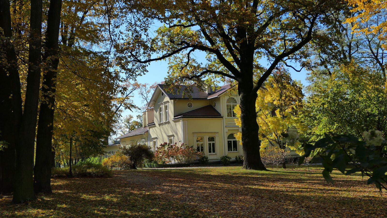 Panasonic Lumix DMC-LX10 (Lumix DMC-LX15) sample photo. Manor house, park, autumn photography