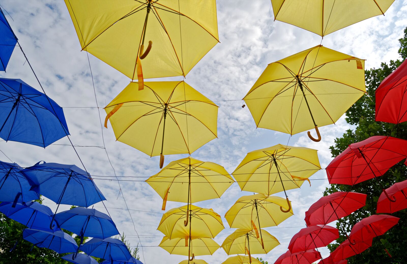 Nikon D5100 sample photo. Decor, umbrellas, colored photography