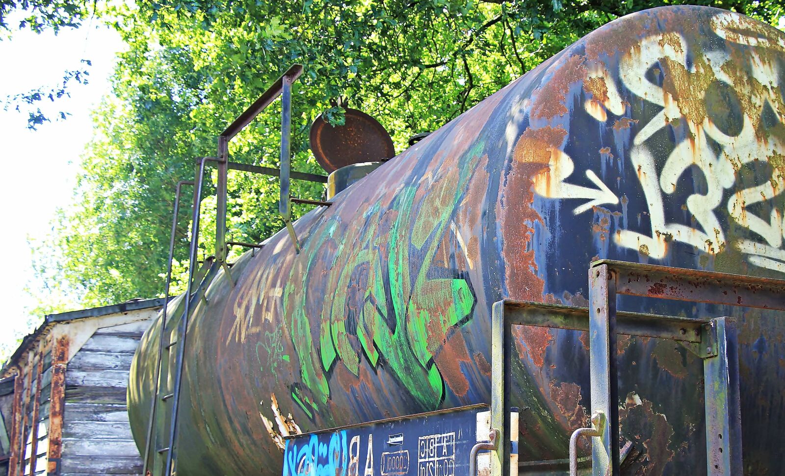 Canon EOS 550D (EOS Rebel T2i / EOS Kiss X4) sample photo. Reservoir, graffiti, tree, outdoor photography