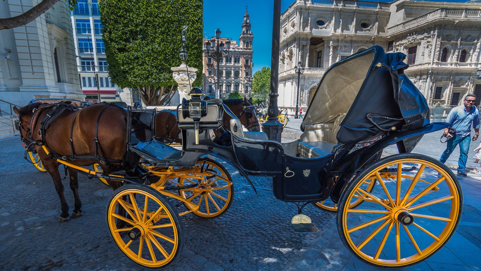 Nikon D7200 sample photo. Buggy, andalusia, seville photography