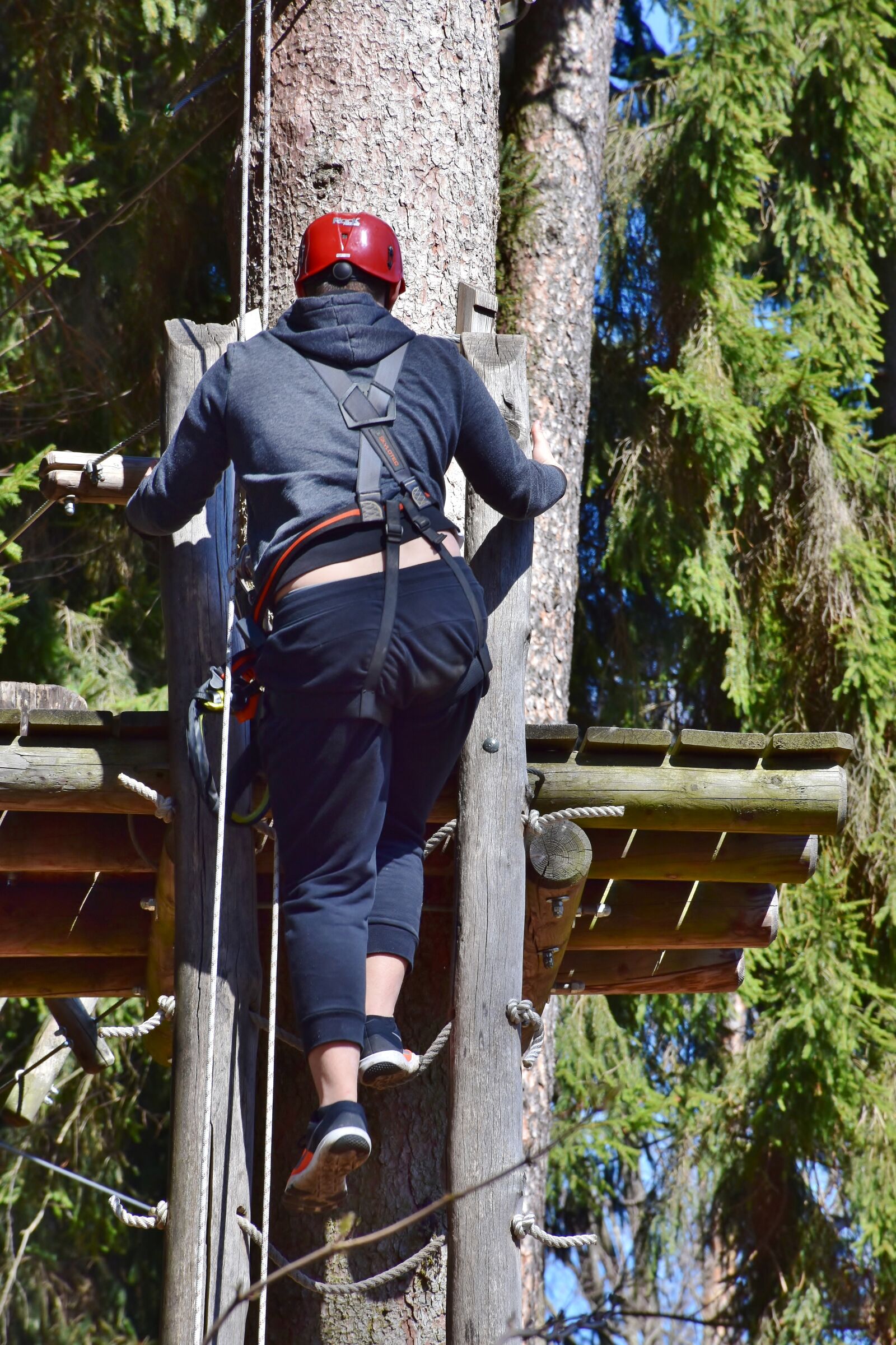 Nikon D7200 sample photo. Climb, high ropes course photography