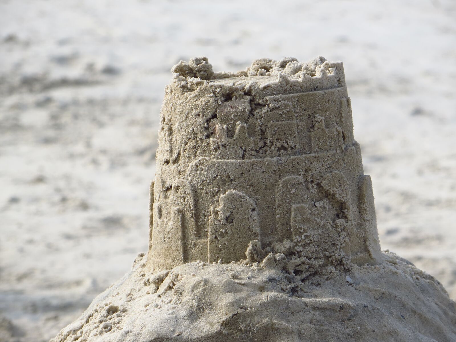 Canon PowerShot SX240 HS sample photo. Beach, sand, sandburg photography