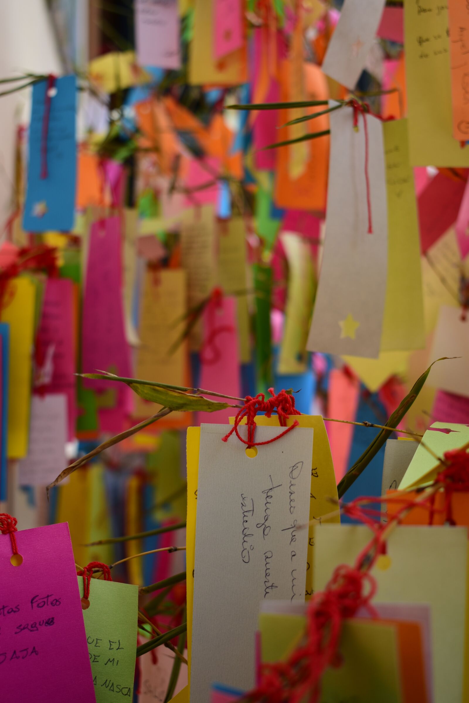 Nikon D3400 sample photo. Wishes, desires, illusion photography