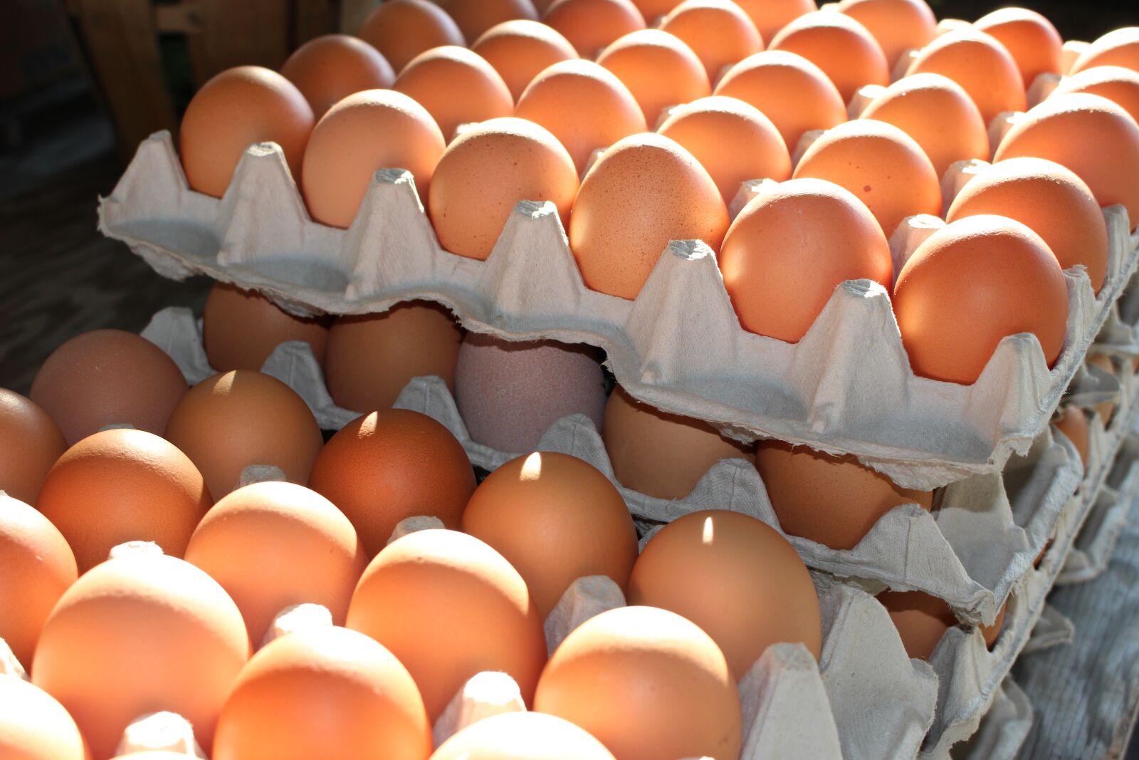 Canon EOS 100D (EOS Rebel SL1 / EOS Kiss X7) sample photo. Fresh eggs, home grown photography