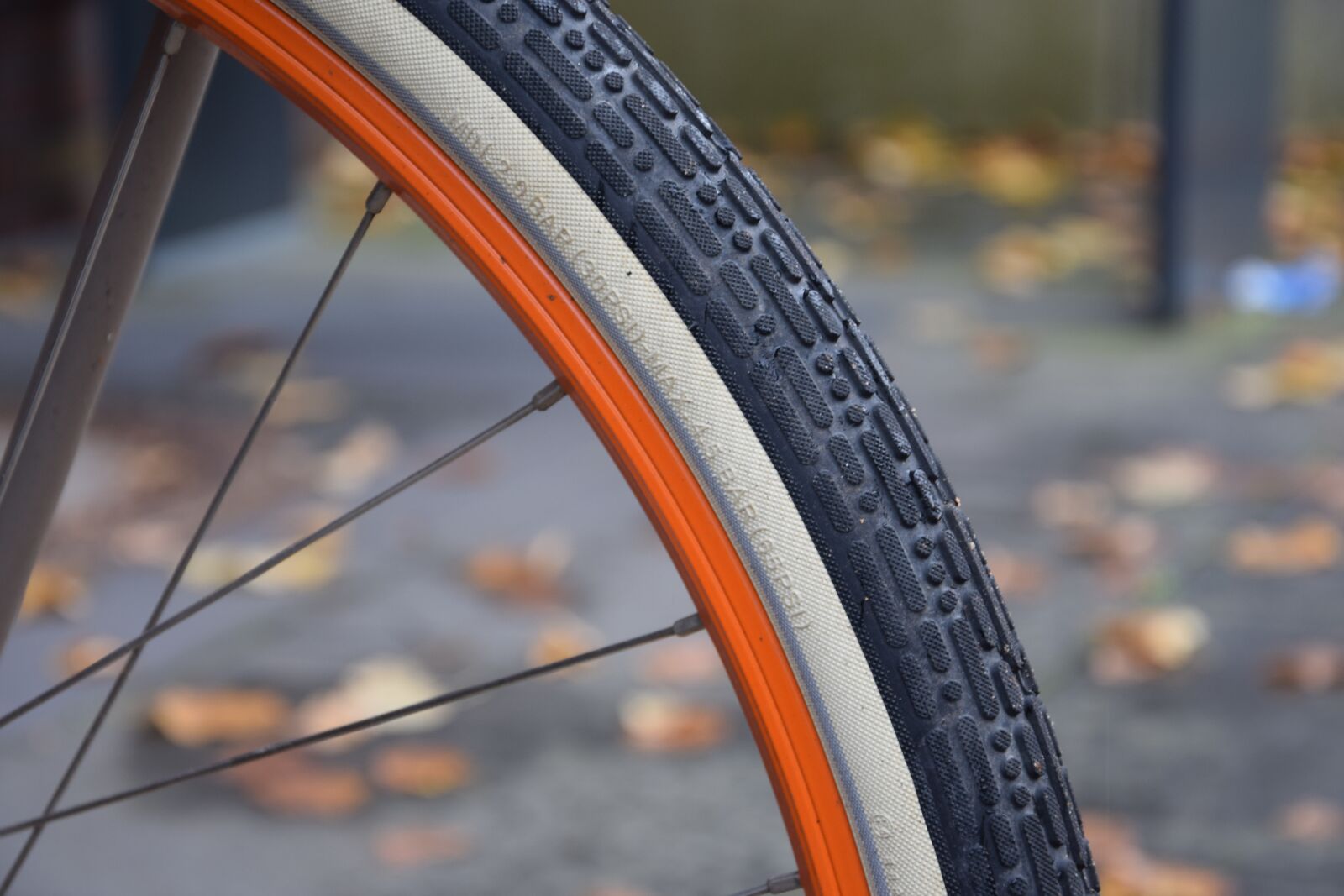 Nikon D3300 sample photo. Bike, mature, orange photography