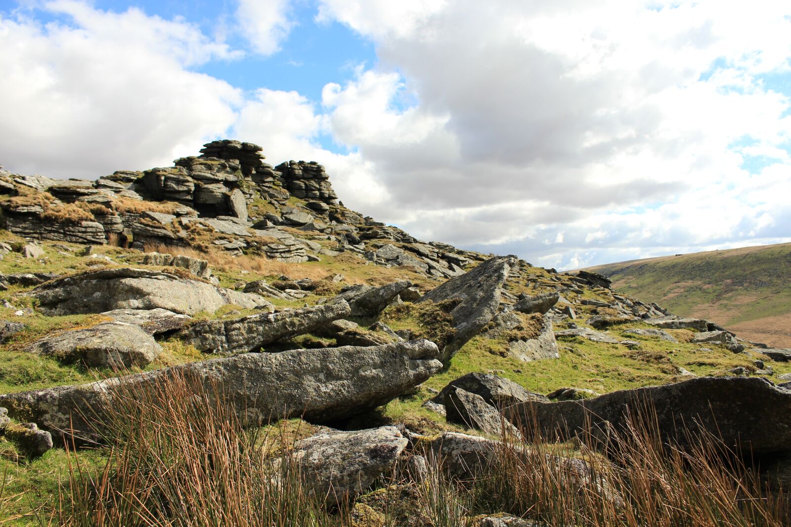 Canon EOS 700D (EOS Rebel T5i / EOS Kiss X7i) sample photo. Dartmoor, tors, british photography