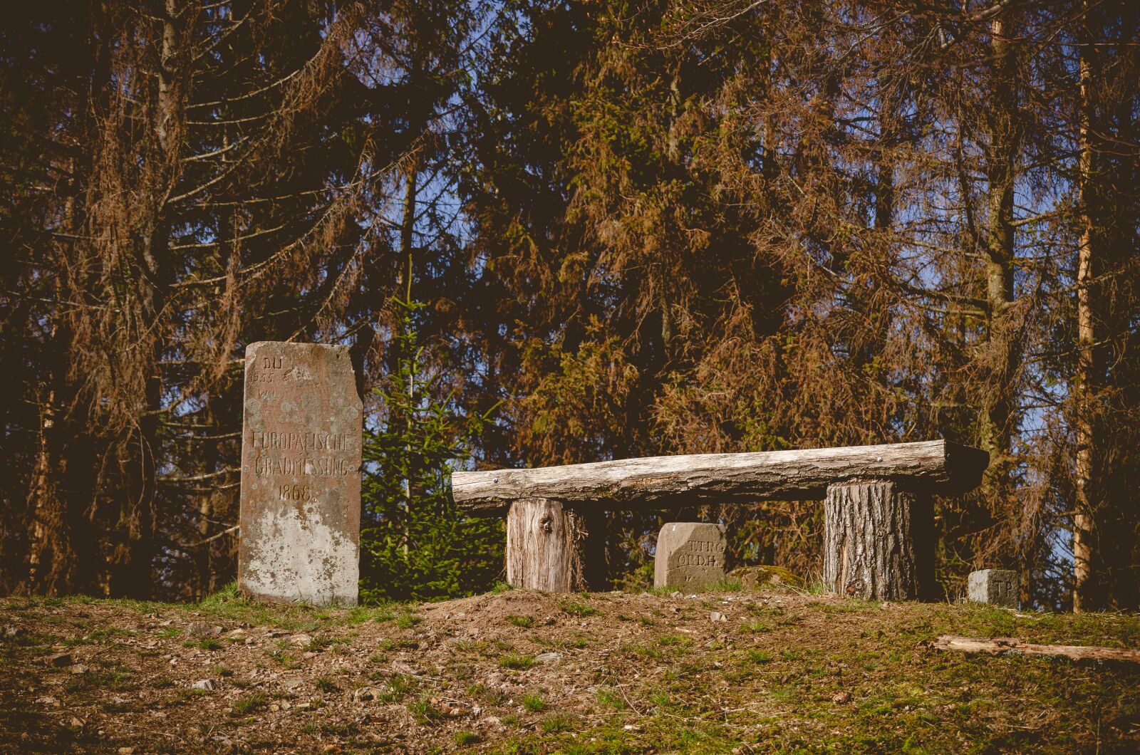 Nikon D7000 sample photo. Nature, hiking, trail photography