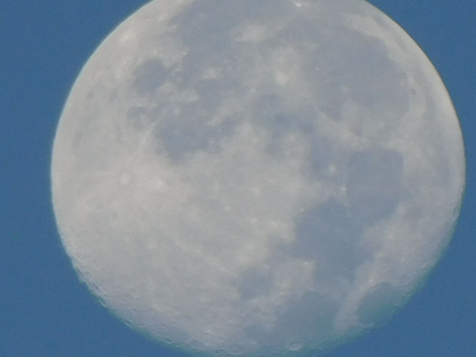 Nikon Coolpix B500 sample photo