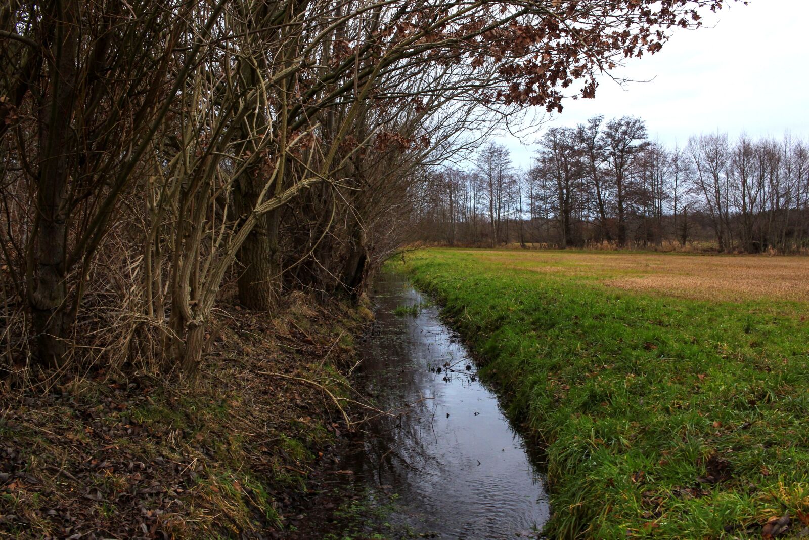 Canon EF-S 24mm F2.8 STM sample photo. River, water, meadow photography