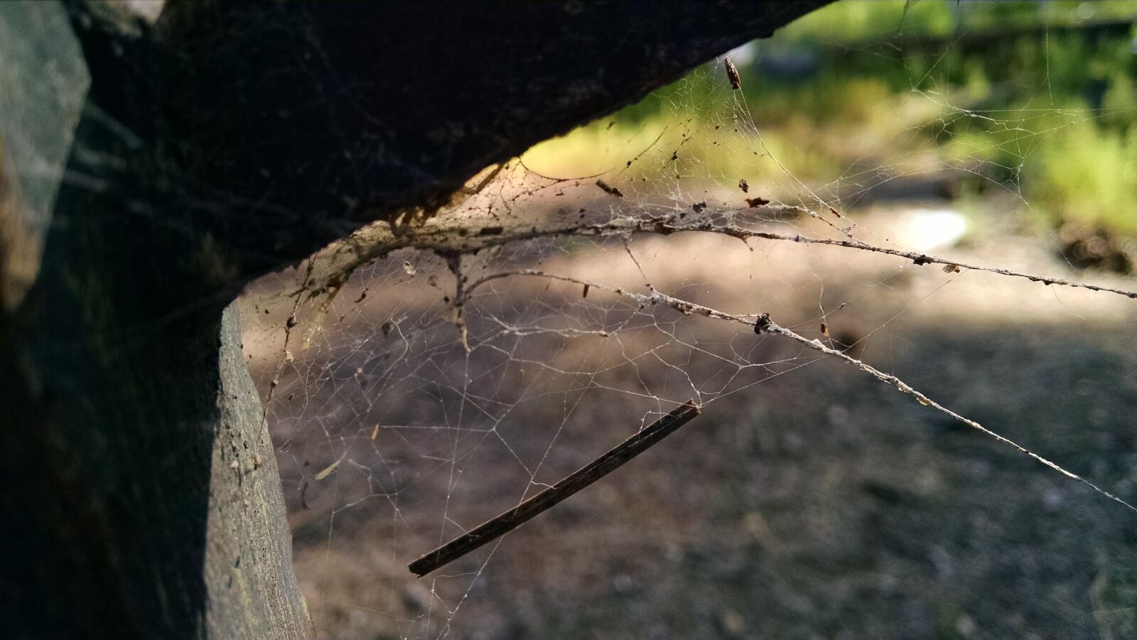 Motorola XT1080 sample photo