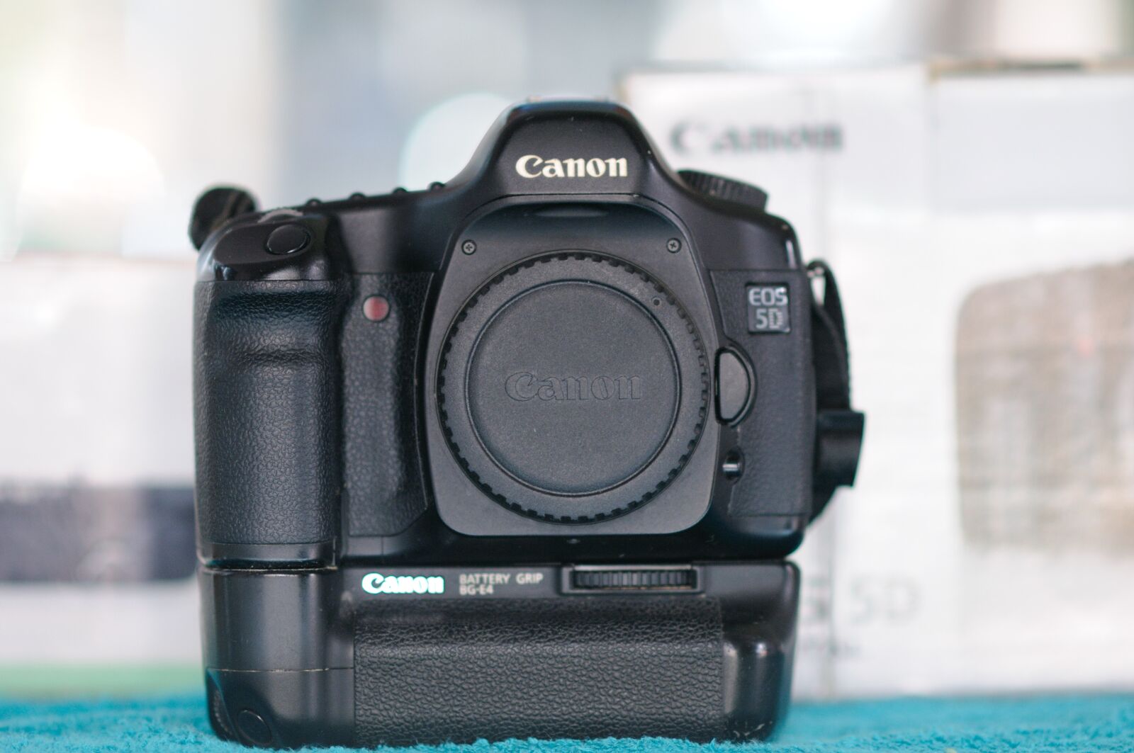 Nikon D300 sample photo. Camera, lens, digital photography