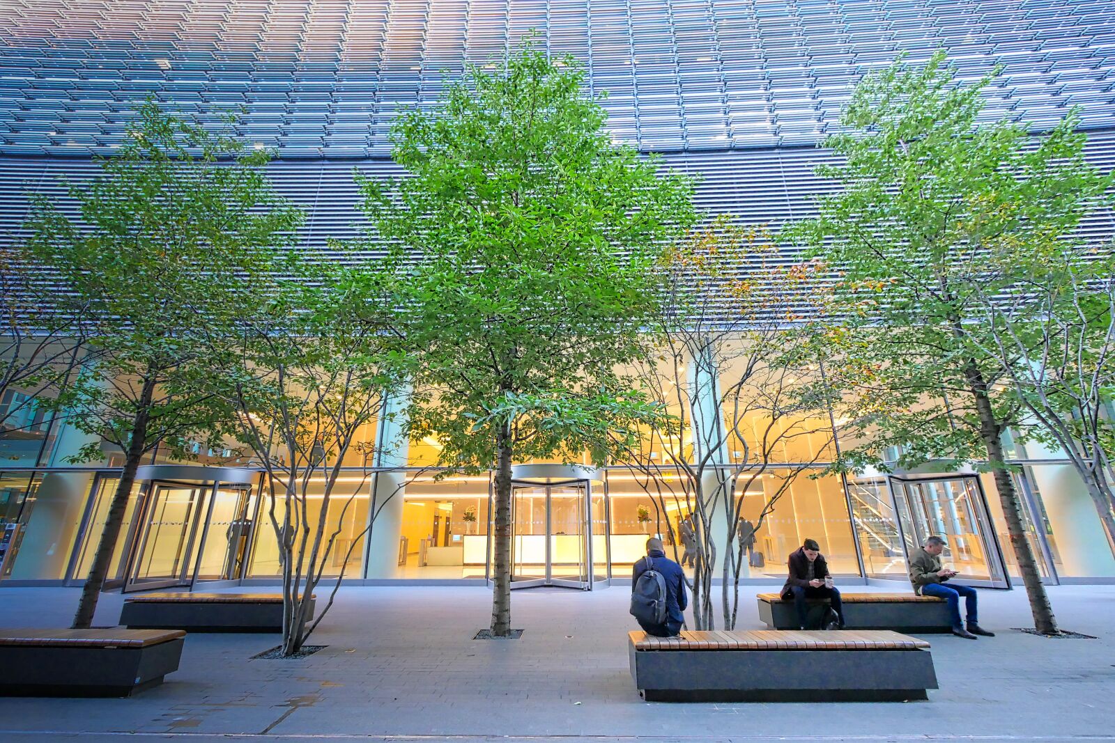Panasonic Lumix DMC-GX8 sample photo. Office building, input, tree photography