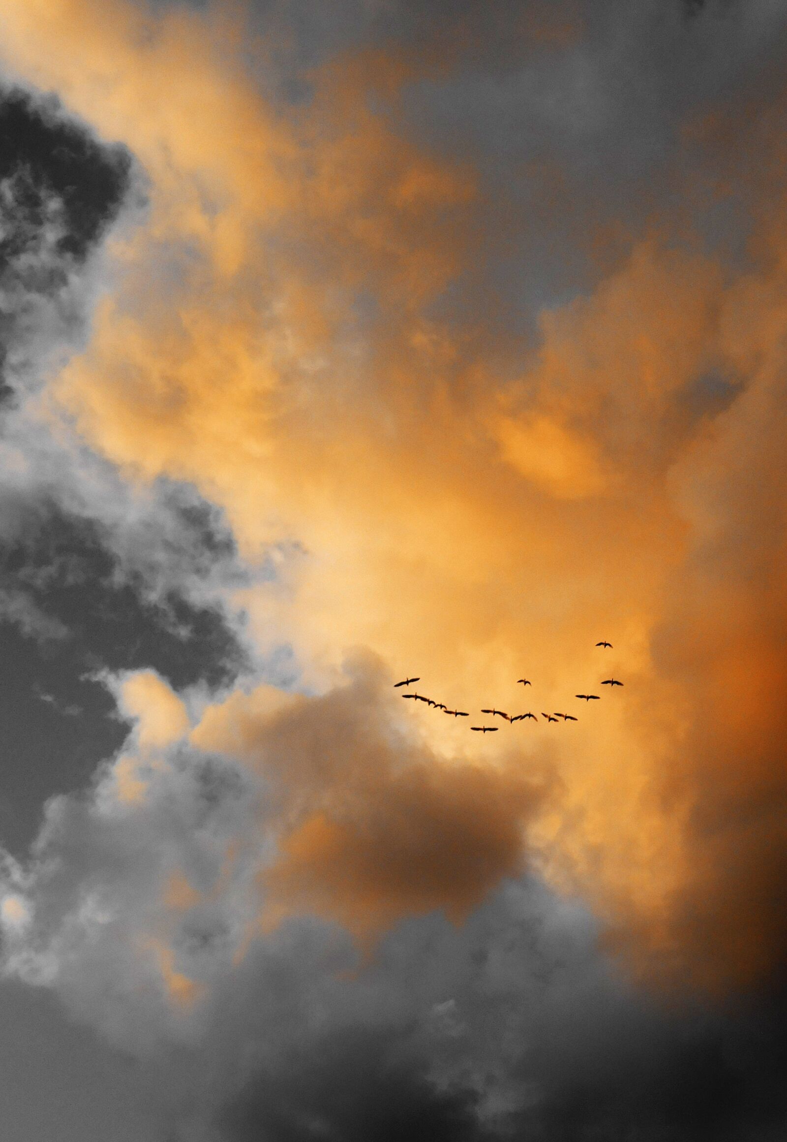 Nikon Coolpix S7000 sample photo. Clouds, birds, sky photography