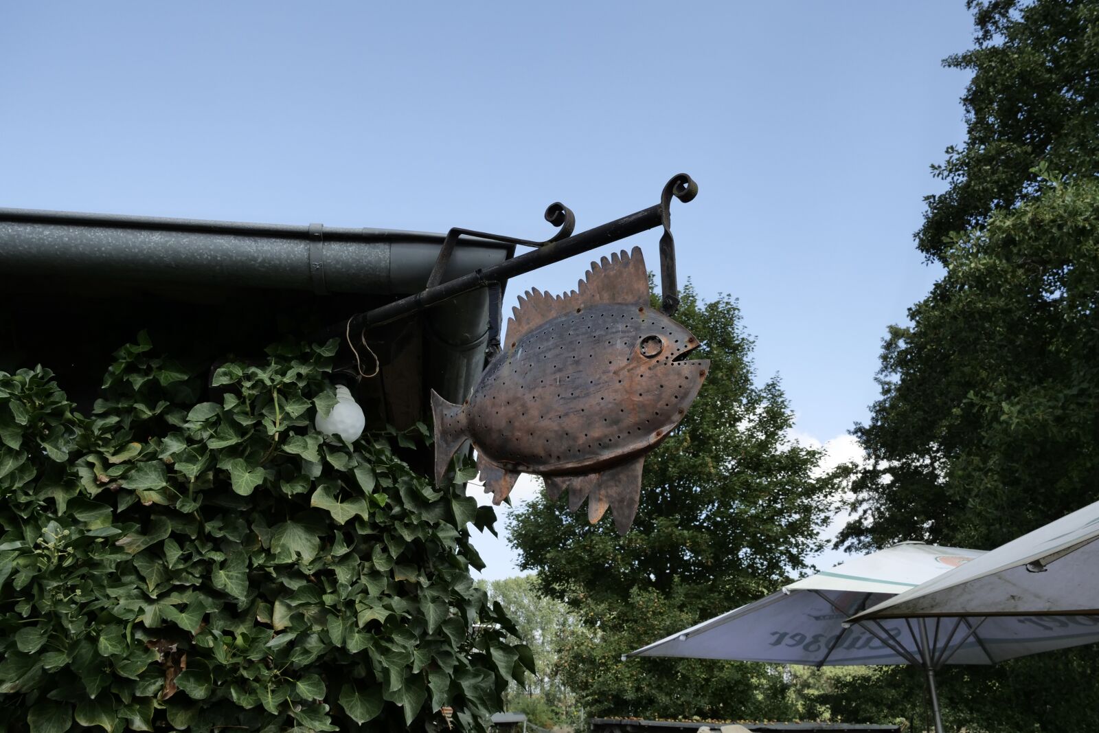 Panasonic Lumix DC-G9 sample photo. Fish restaurant, fish, art photography