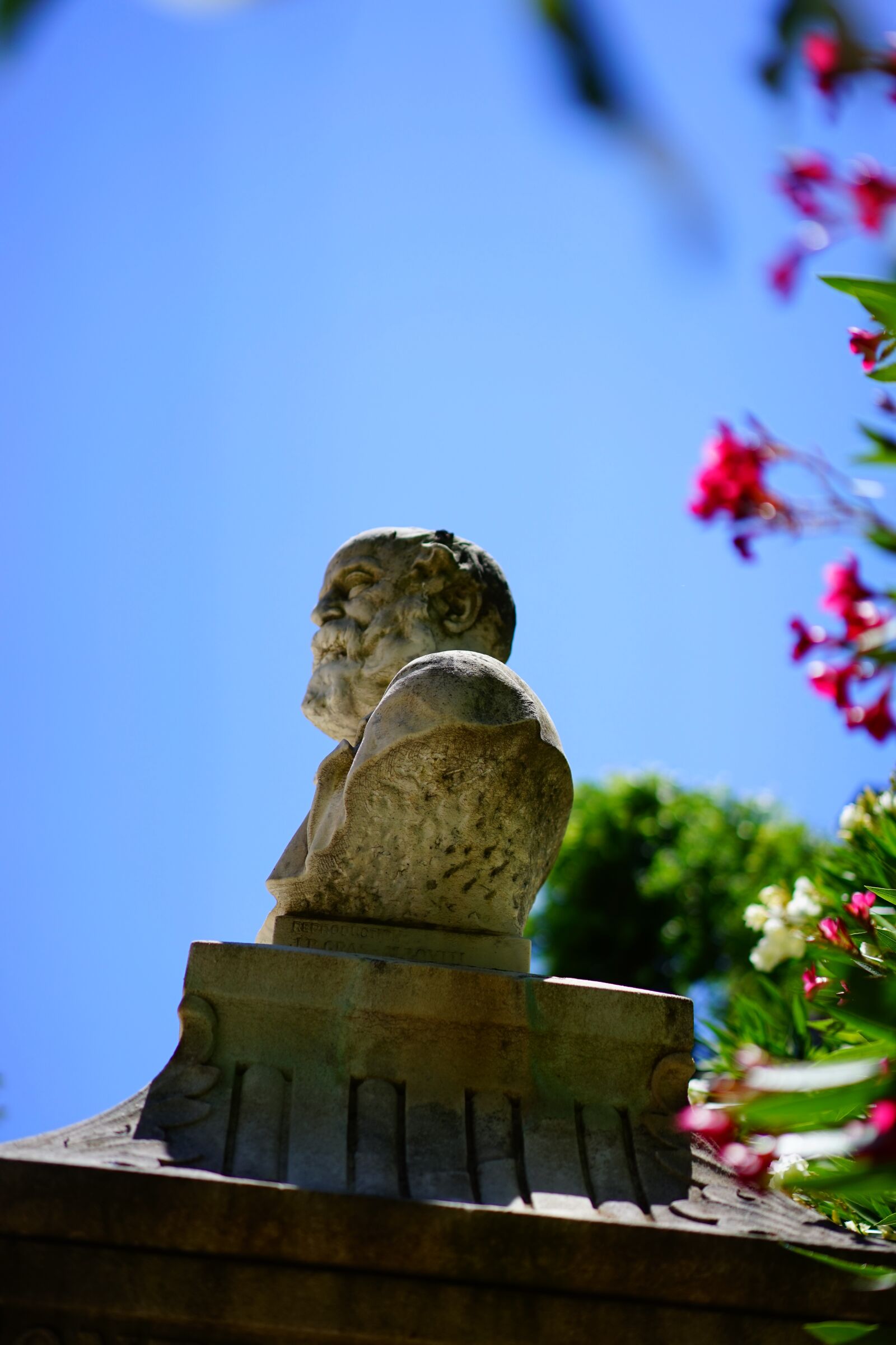 Sony a7 + Sony Sonnar T* FE 55mm F1.8 ZA sample photo. Bust, figure, el sounjarello photography