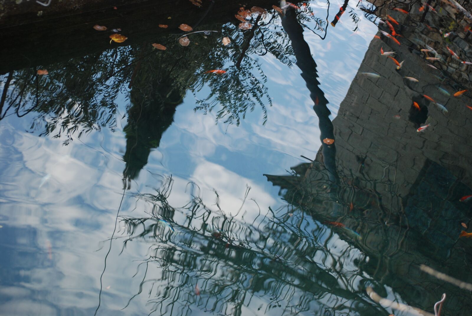 Nikon D80 sample photo. Reflection, water, lake photography