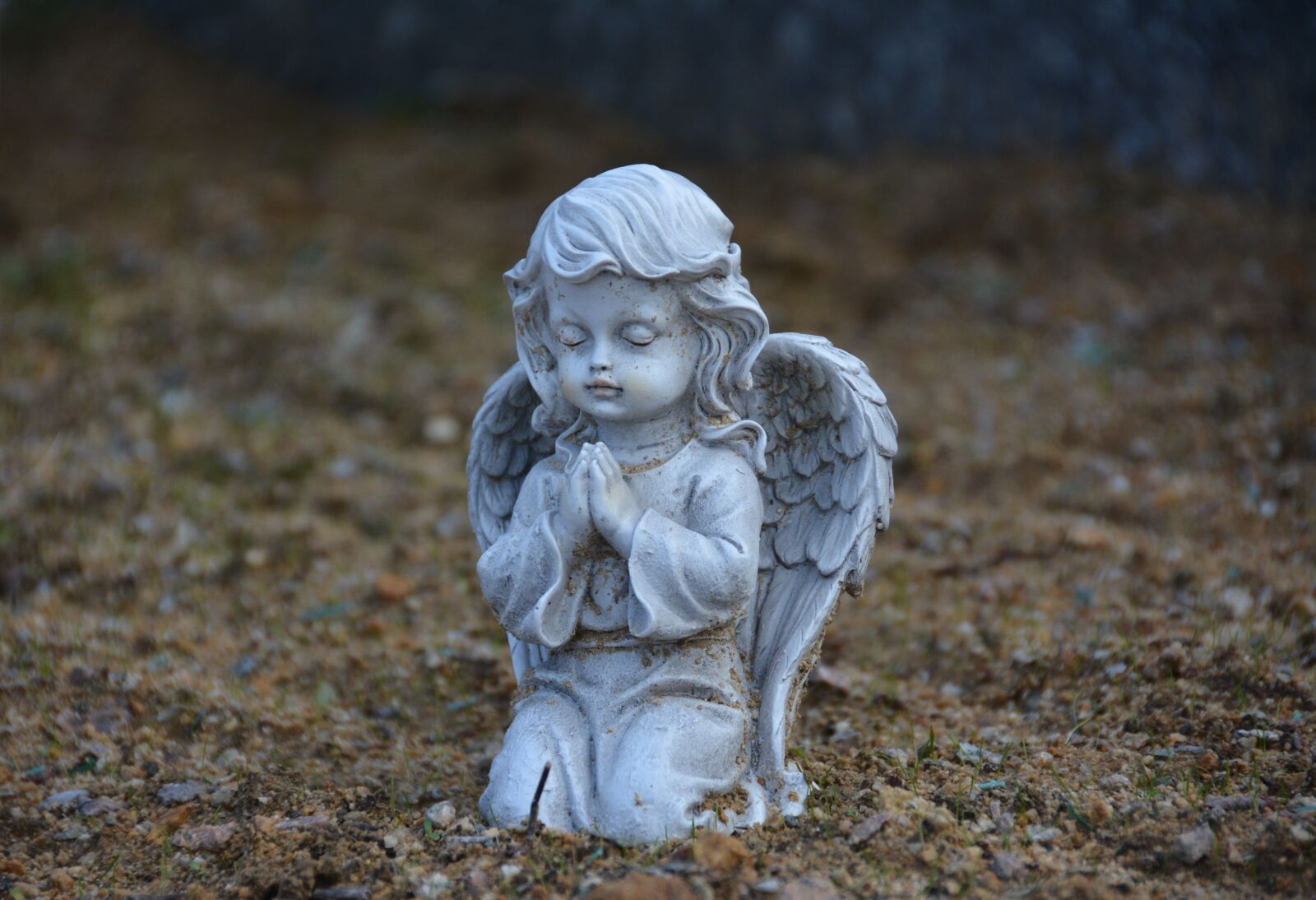 Nikon D7100 sample photo. Angel, white, figure photography
