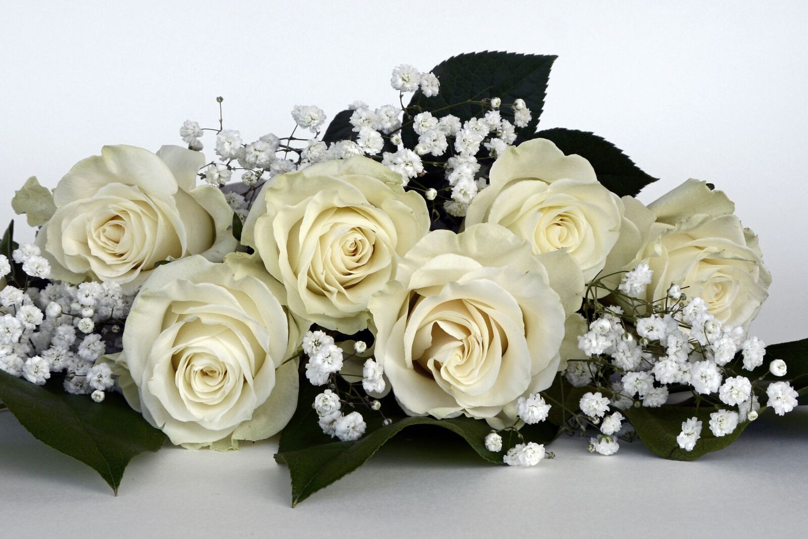 Nikon D7100 sample photo. Roses, rose flower, flowers photography