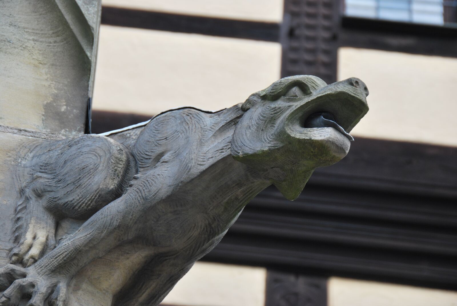 Nikon D60 sample photo. Architecture, gargoyle, stone figure photography
