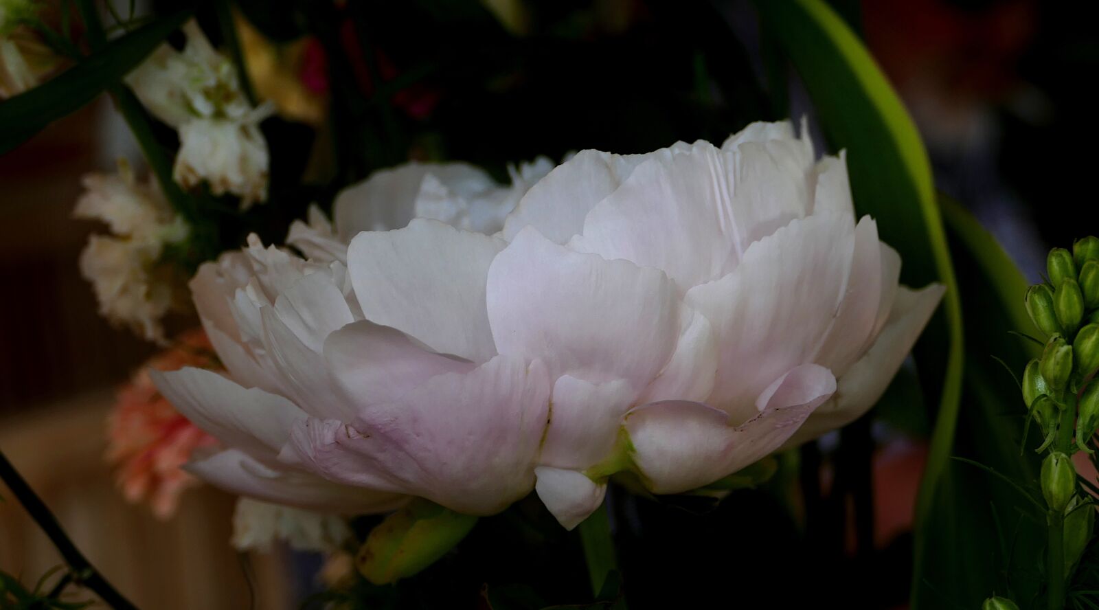 Panasonic Lumix DMC-FZ1000 sample photo. Flower, flowers, cut flower photography