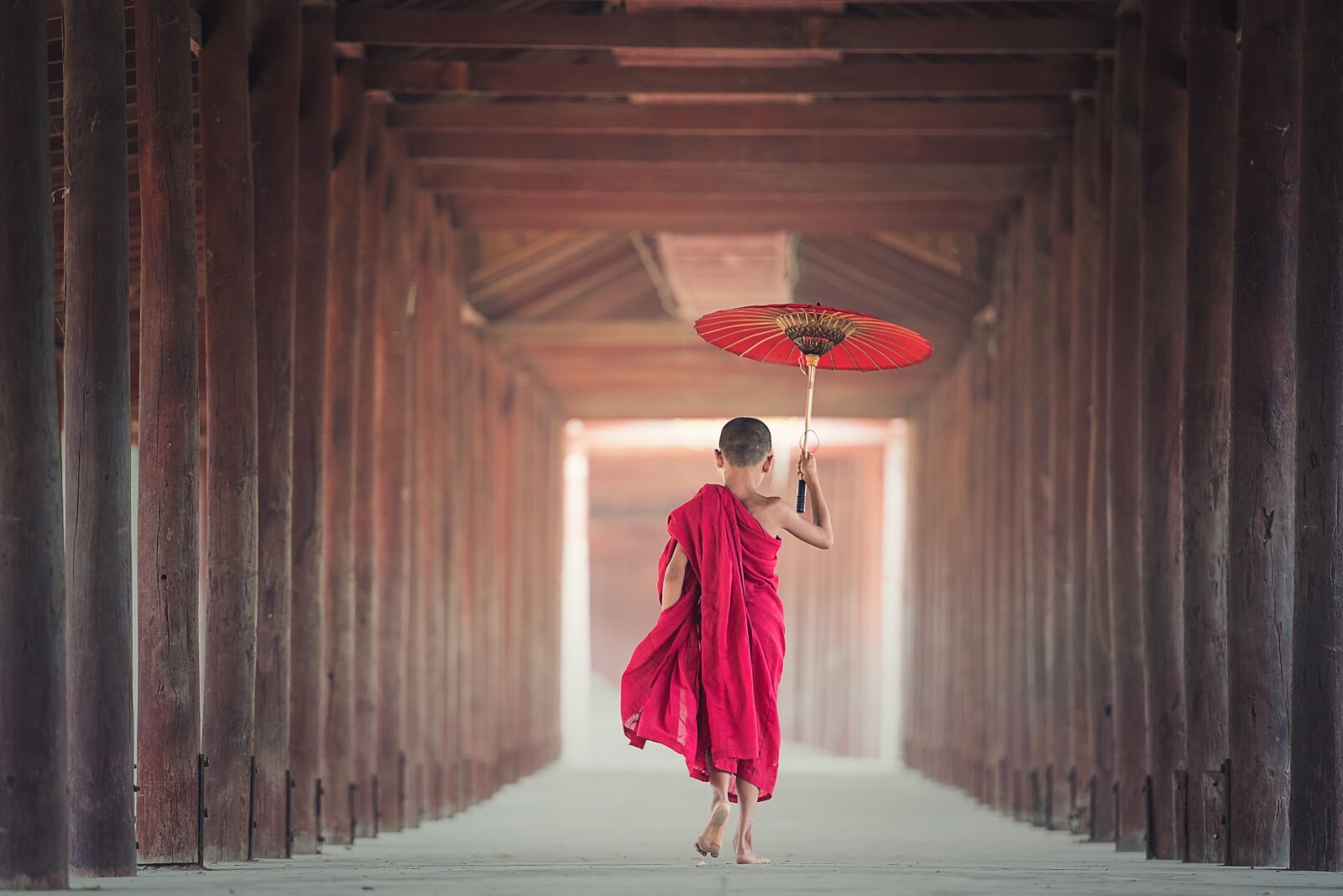 Nikon D810 sample photo. Umbrella, buddhism, monk photography