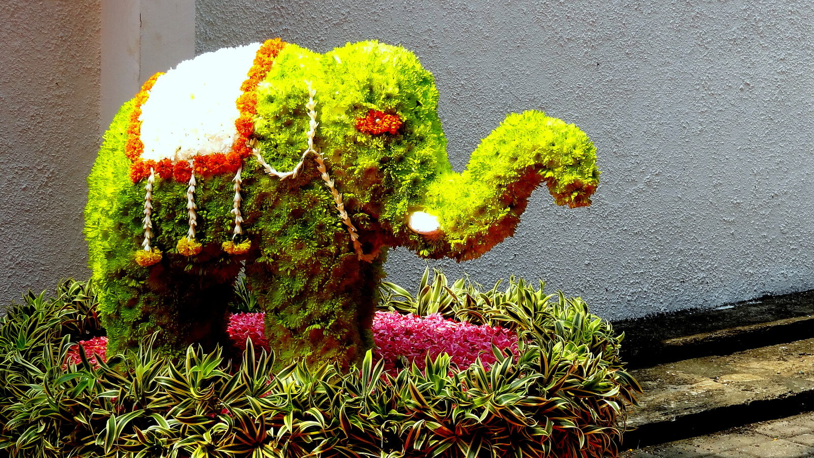 Sony Cyber-shot DSC-HX9V sample photo. The, green, elephant photography