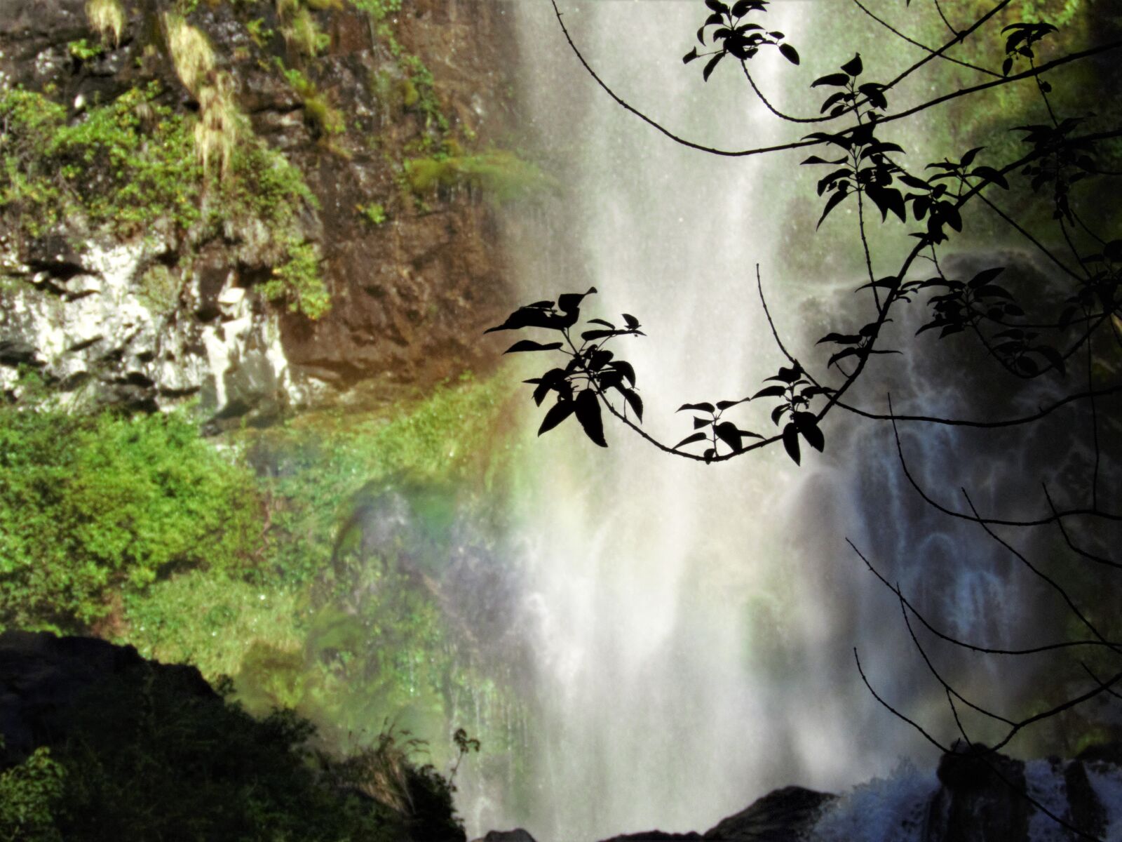 Canon PowerShot SX60 HS sample photo. Waterfall, nature, brook photography