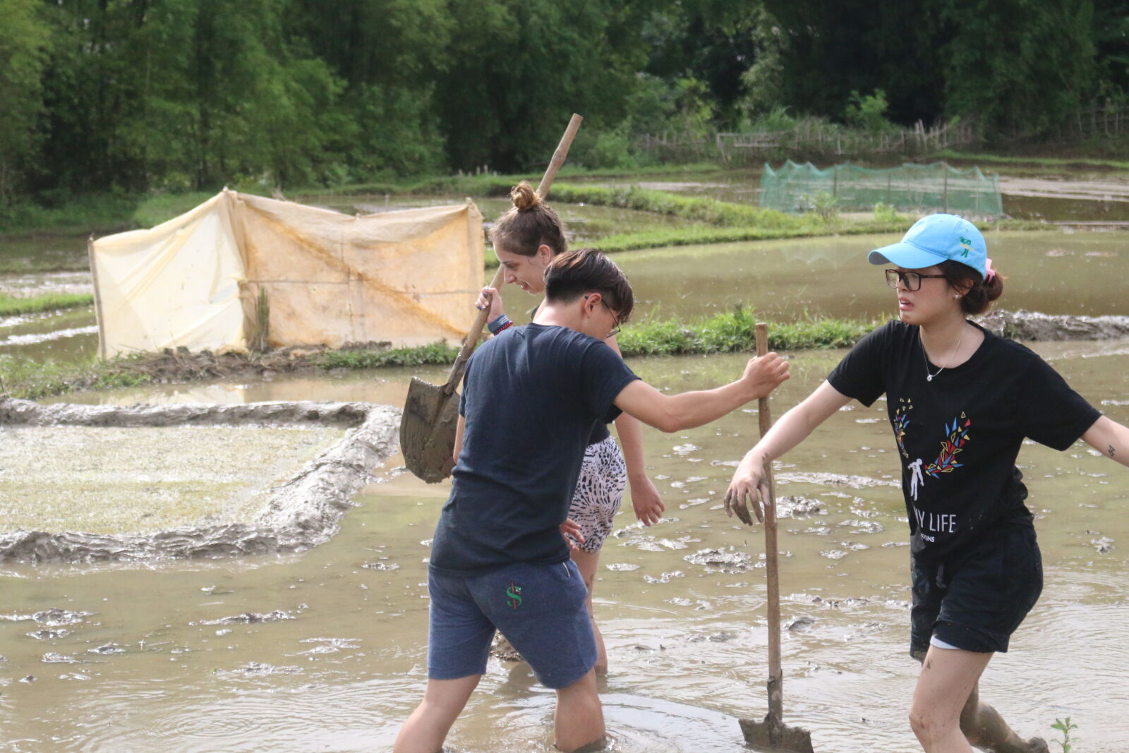 Canon EOS 70D sample photo