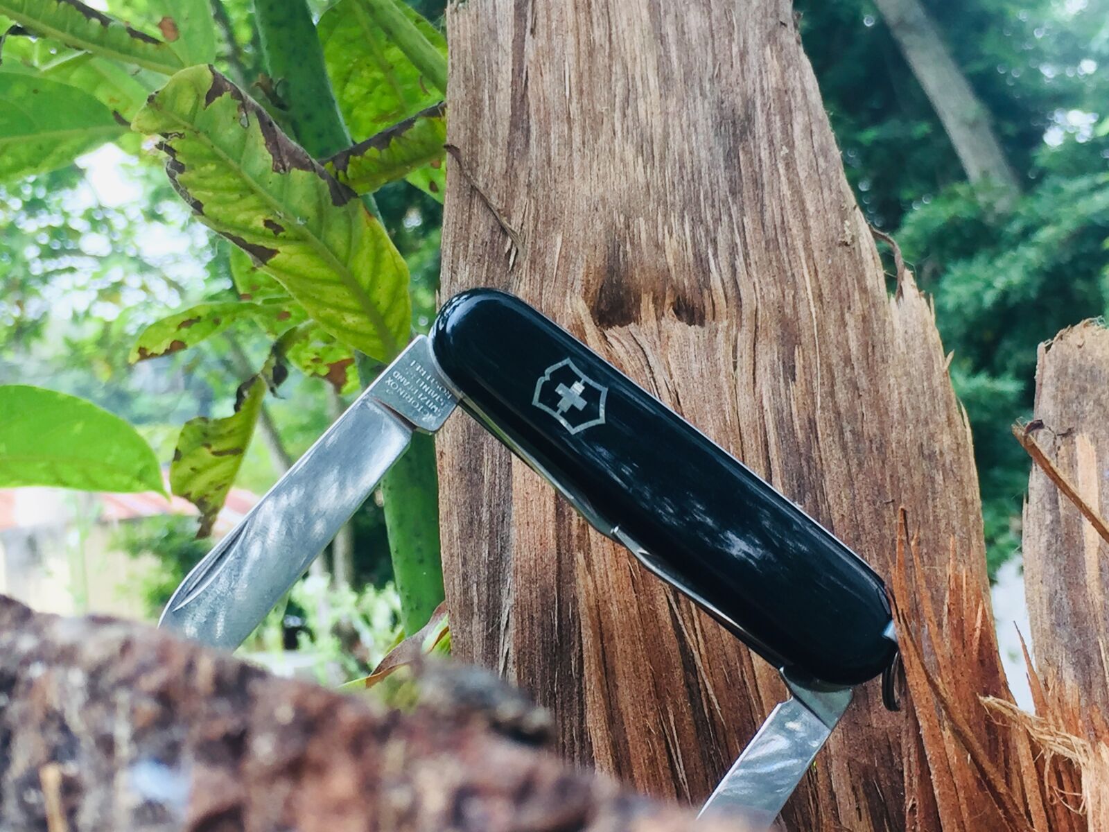 iPhone 6 back camera 4.15mm f/2.2 sample photo. Victorinox, recruit, black photography