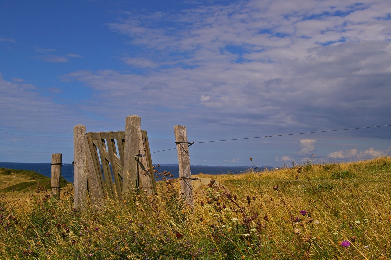 Pentax *ist DL2 sample photo. Gate, denmark, danish coast photography