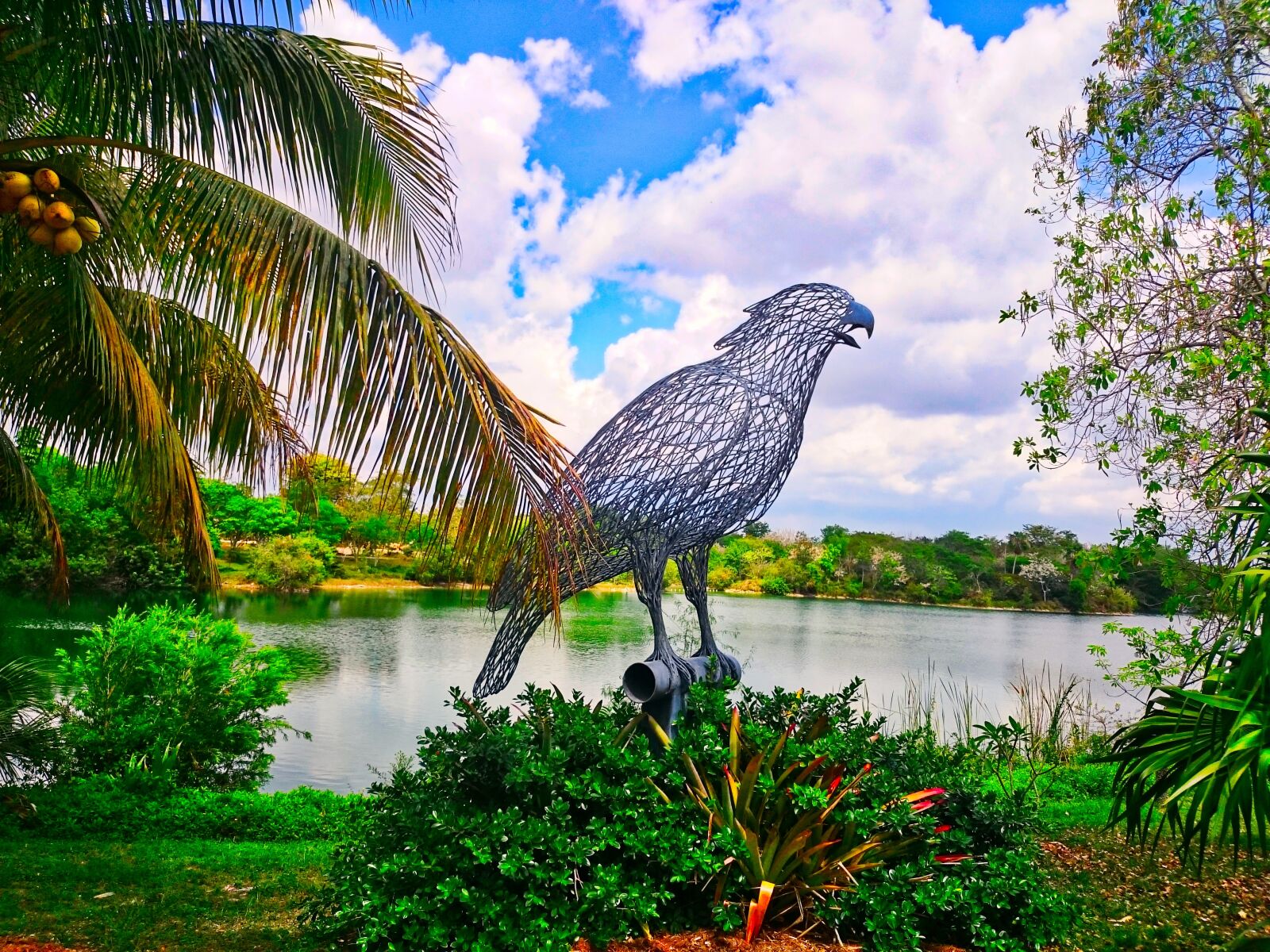 Sony Xperia Z2 sample photo. Abstract, photo, amazing, animal photography