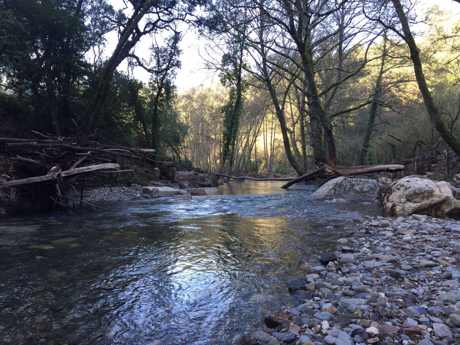 iPhone 6 Plus back camera 4.15mm f/2.2 sample photo. River, portugal, nature photography