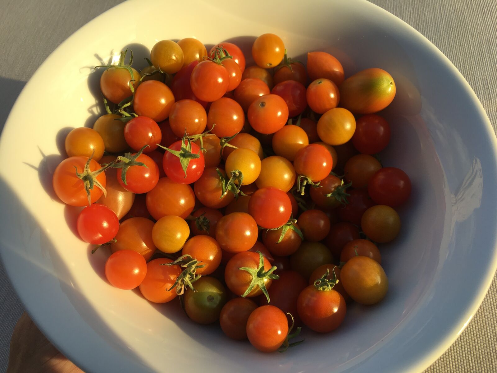 Apple iPhone 6s Plus sample photo. Tomatoes, cherry tomatoes, dish photography